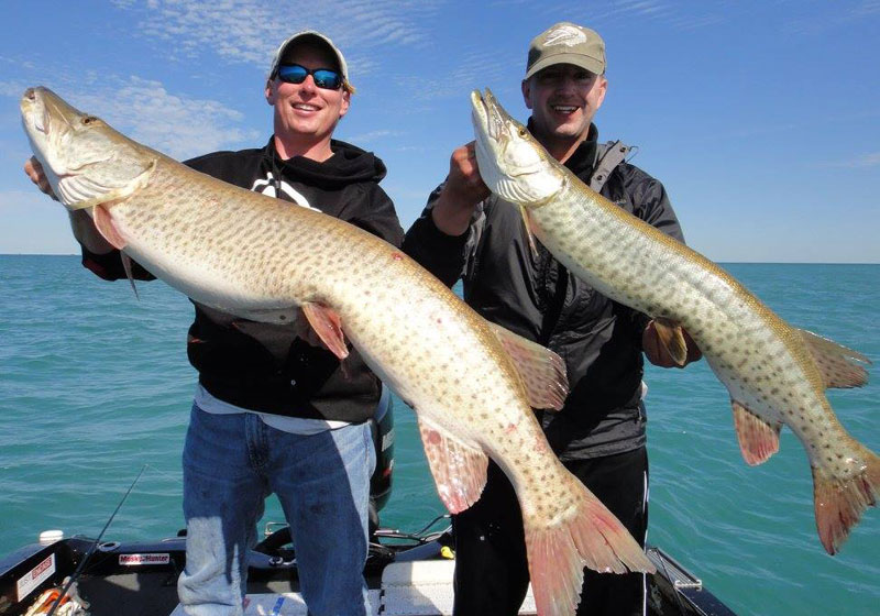 Lake St. Clair Fishing Guide - Musky, Walleye, Smallmouth Bass