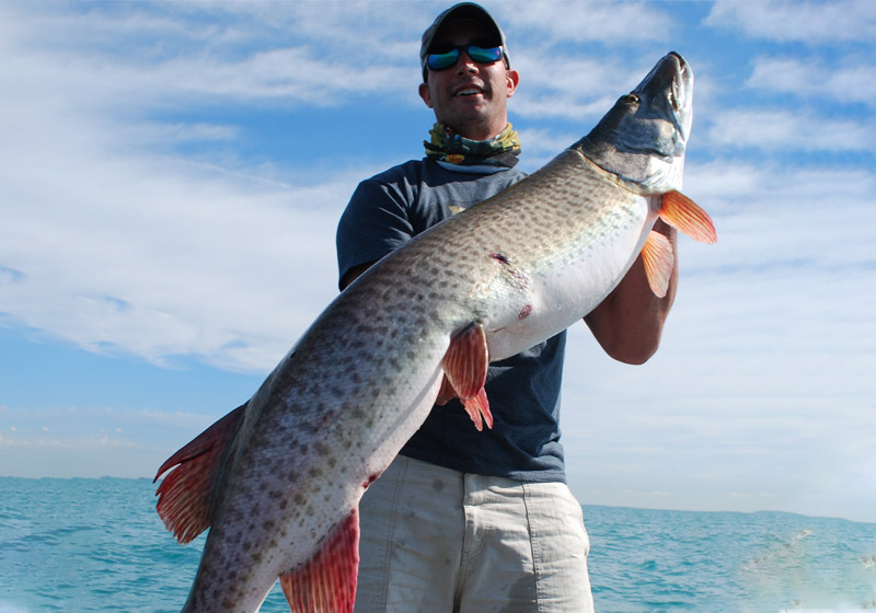 Fishing Harrison Township MI Musky and Sky