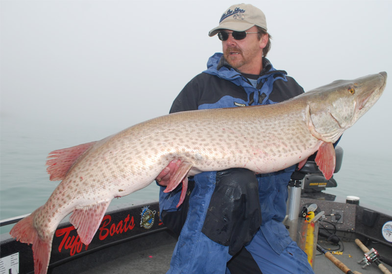 Fishing Harrison Township MI Red Musky Fishing Harrison Township MI Red Musky