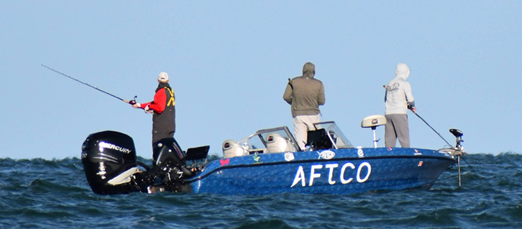 Fishing Harrison Township MI Tiger Muskies and Boat